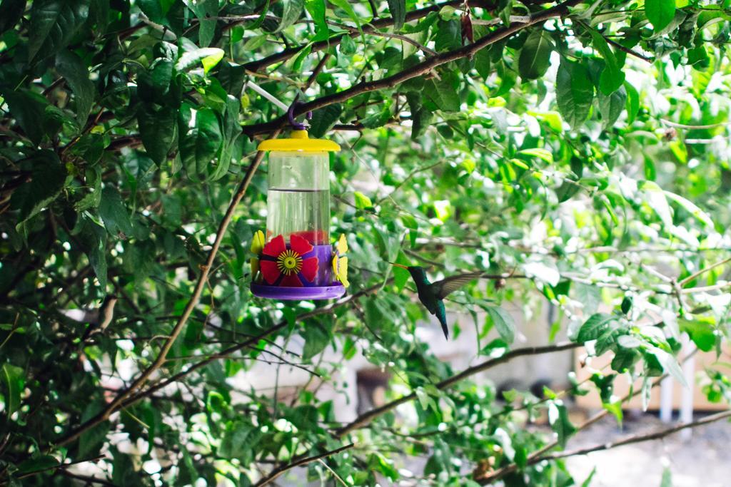 Hosteria La Peninsula Villa Ventana Dış mekan fotoğraf